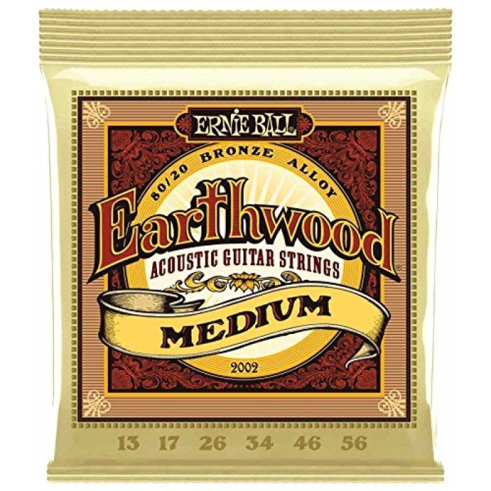 Ernie Ball Acoustic Guitar Strings Earthwood 80/20 Bronze Medium  EB EW  P02002  2002